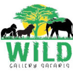 Wild Gallery Safaris